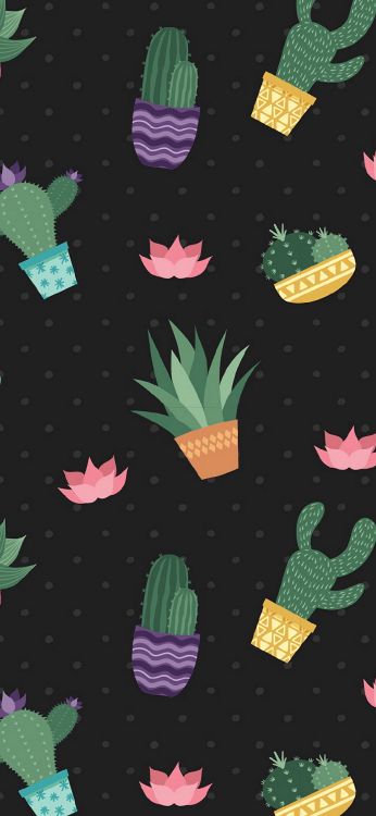 Cactus, Botanique, Green, Feuille, Textile. Wallpaper in 1080x2340 Resolution