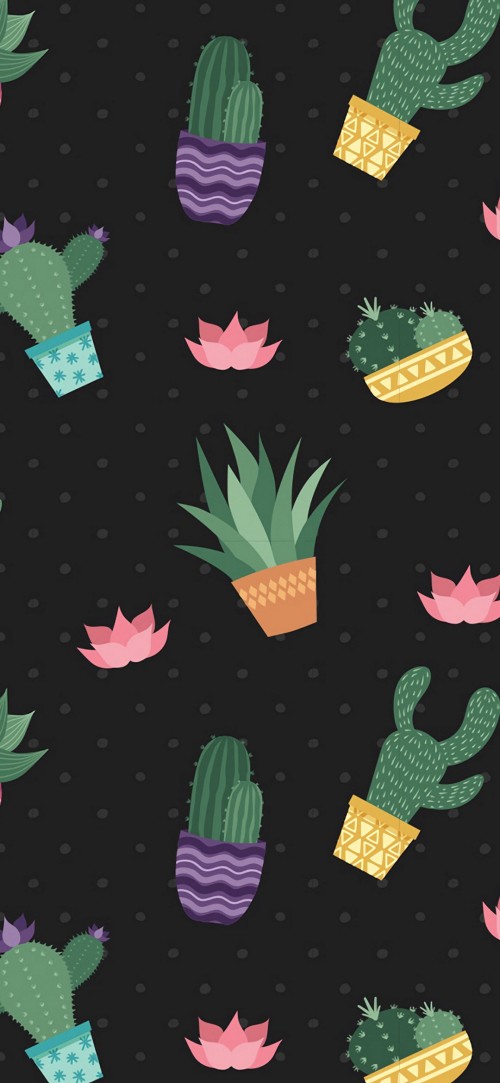 Image pattern, cactus, botany, green, leaf