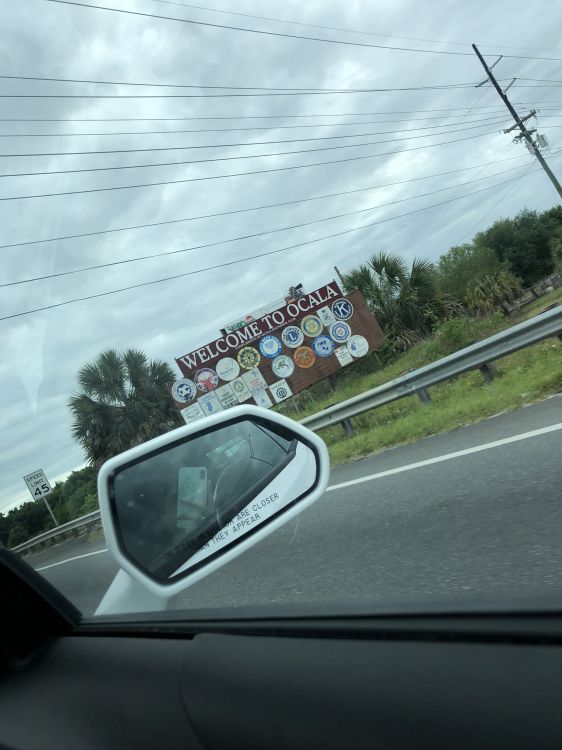 Brise, Roi, Voiture Compacte, Miroir Automobile, Verre. Wallpaper in 1536x2048 Resolution