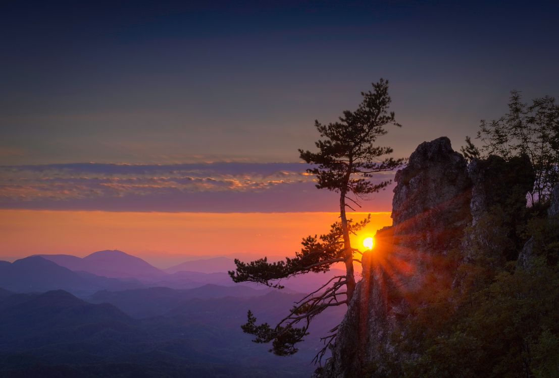 Green Trees on Mountain During Sunset. Wallpaper in 5843x3956 Resolution