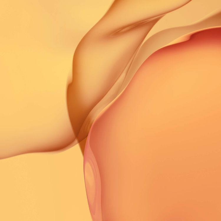 Huawei, Huawei P40 Pro, Huawei P40, Smartphone, Melocotón. Wallpaper in 2640x2640 Resolution