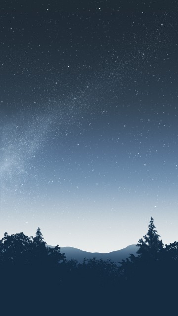 Image star, black spruce, night, constellation, spruce