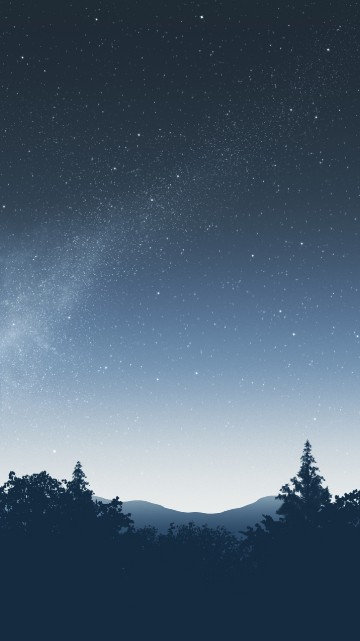 Image star, black spruce, night, constellation, spruce