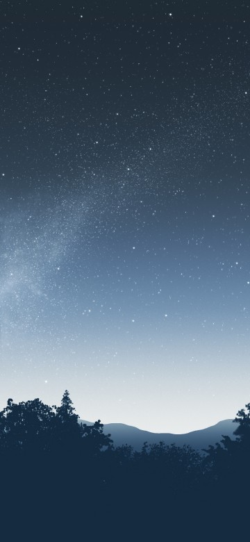 Image star, black spruce, night, constellation, spruce