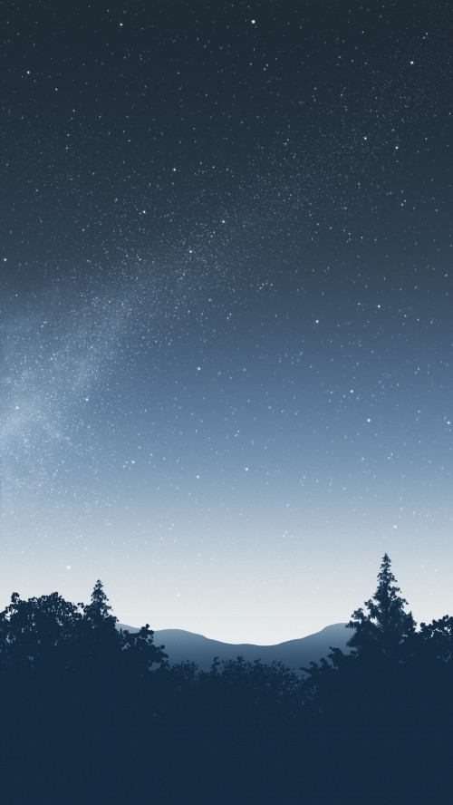 Image star, black spruce, night, constellation, spruce