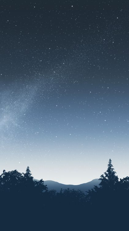 star, black spruce, night, constellation, spruce