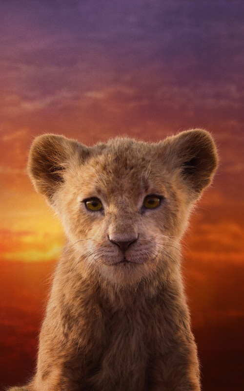 Image nala lion king live action, Nala, Simba, lion, Walt Disney Pictures