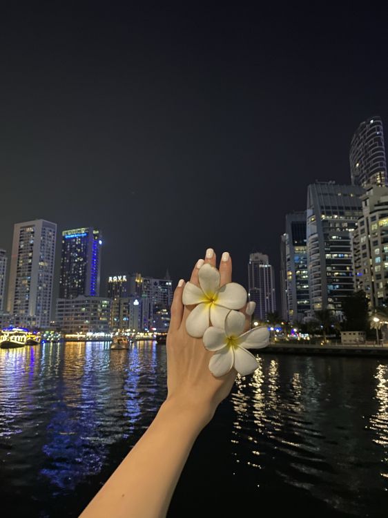 反射, 塔块, 大都会, 城市景观, 公寓 壁纸 1536x2048 允许