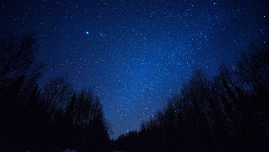 Image silhouette of trees under blue sky during night time