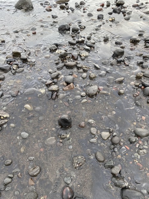 Image water, Mudflat, stream bed, rock, grey