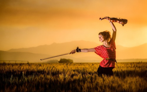 Image violin, grassland, grass family, grass, prairie