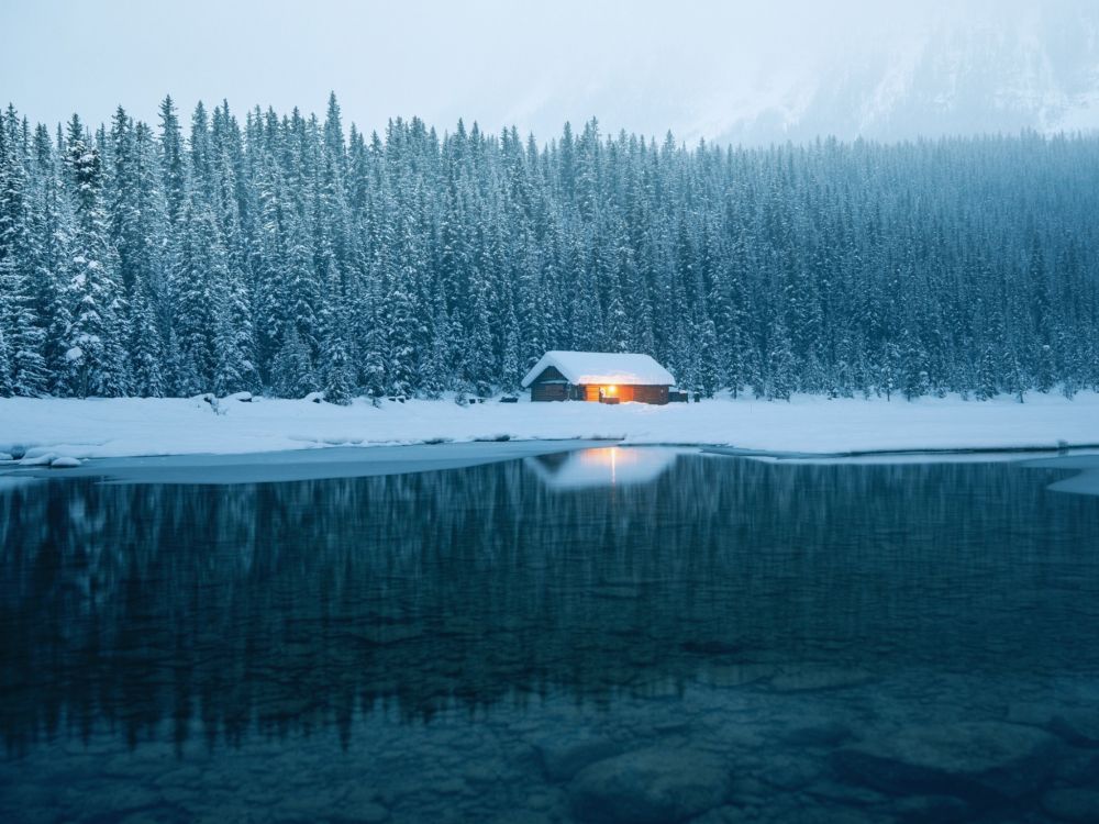 snow covered field and trees during daytime