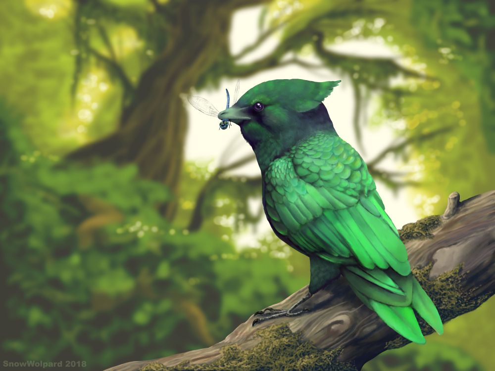 Oiseau Bleu Sur Une Branche D'arbre Marron. Wallpaper in 7200x5400 Resolution