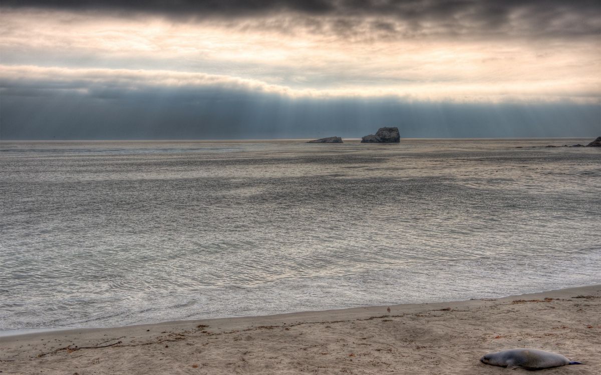 大海, 地平线, 沙, 海洋, 岸边 壁纸 1920x1200 允许