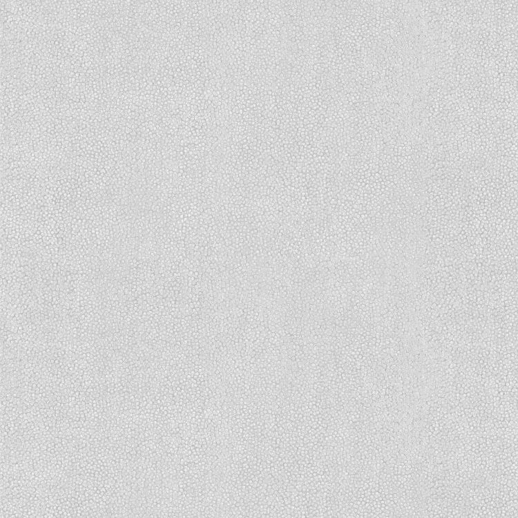 Mur Peint en Noir et Blanc. Wallpaper in 4000x4000 Resolution