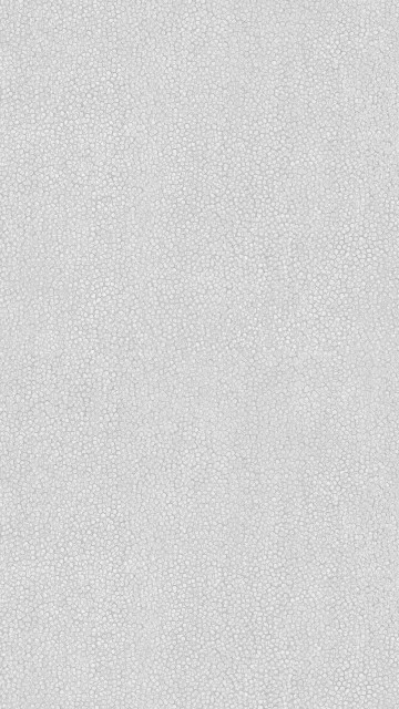 Image black and white painted wall