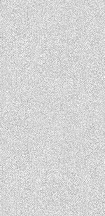 Image black and white painted wall