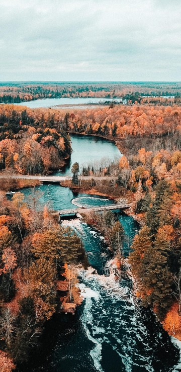 Image landscape, cloud, water, plant, plant community