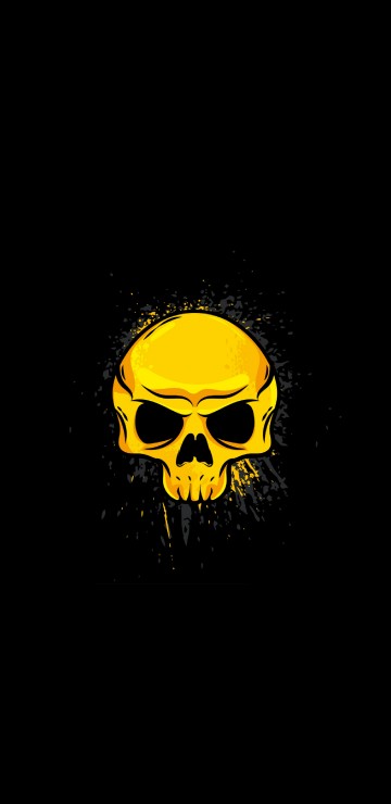Image skull, glasses, bone, art, eyewear