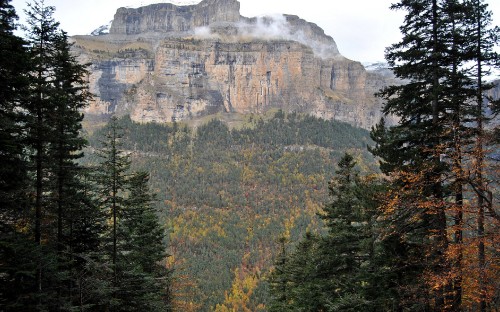 Image green trees near brown rocky mountain during daytime