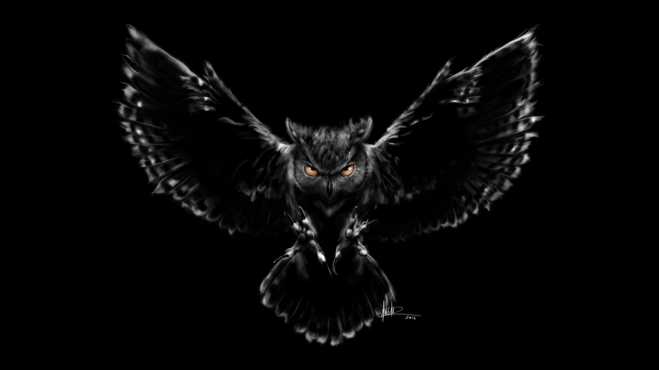 dark owl, owls, birds, eurasian eagle owl, little owl