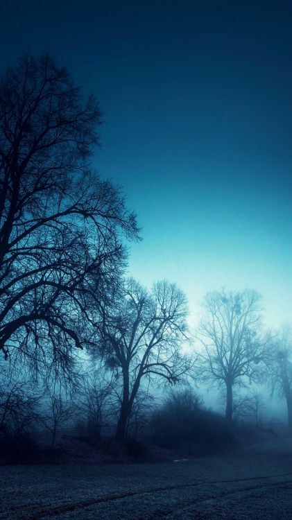 Elephone,  Elephone P8, Nature, Blue, Paysage Naturel. Wallpaper in 1080x1920 Resolution