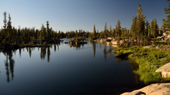 Image green trees beside body of water during daytime