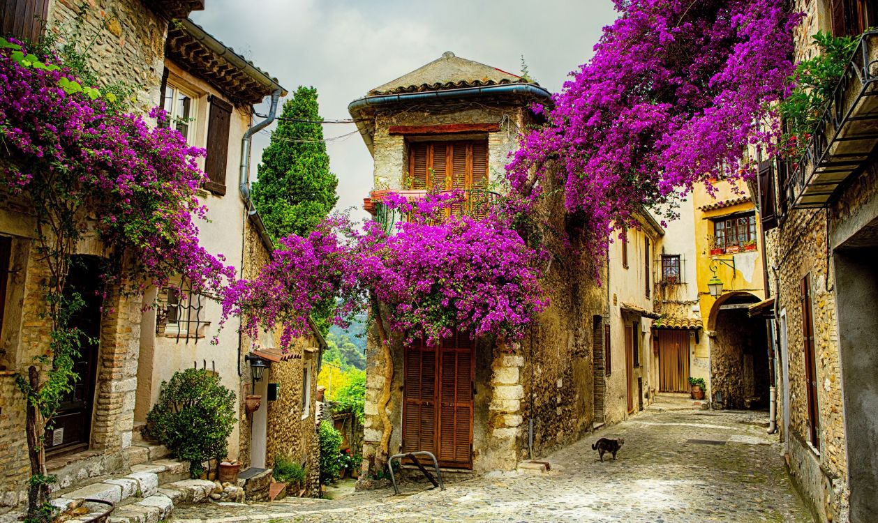 街, 的房子, 中世纪建筑风格, 正面, 农舍 壁纸 3520x2097 允许