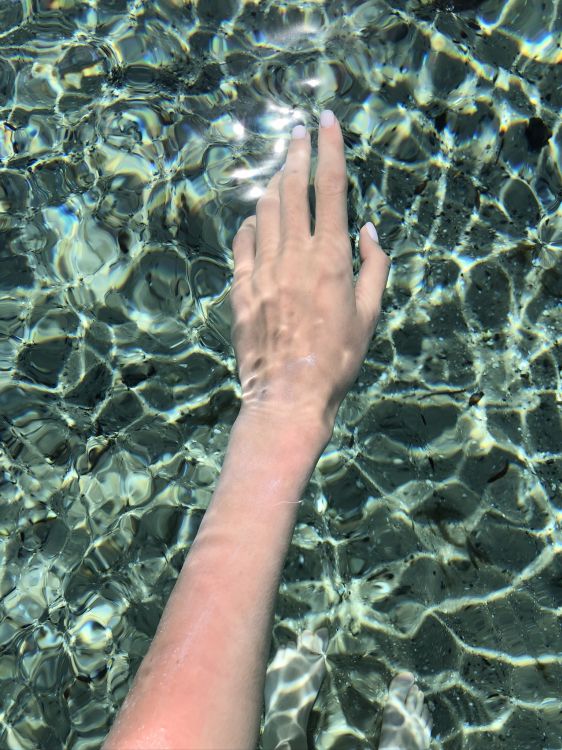 Eau, Feuille, Plante, Biologie, Fluide. Wallpaper in 1536x2048 Resolution