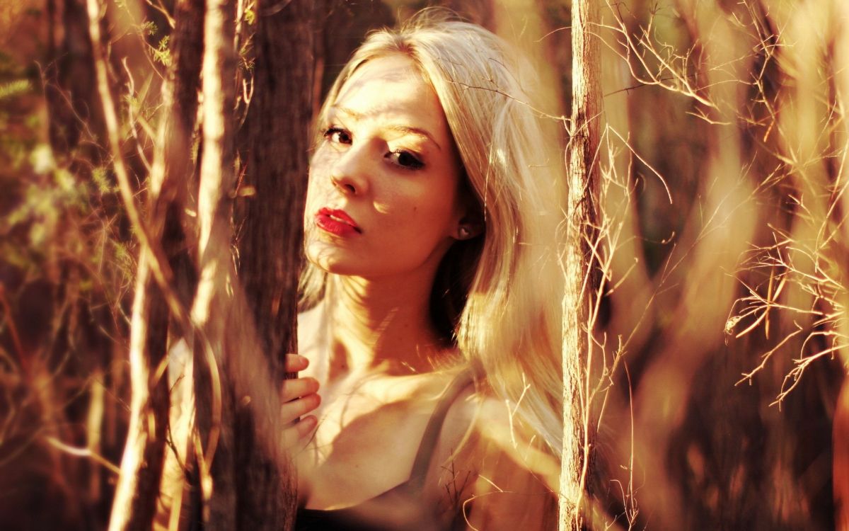 beauty, blond, hair, sunlight, long hair