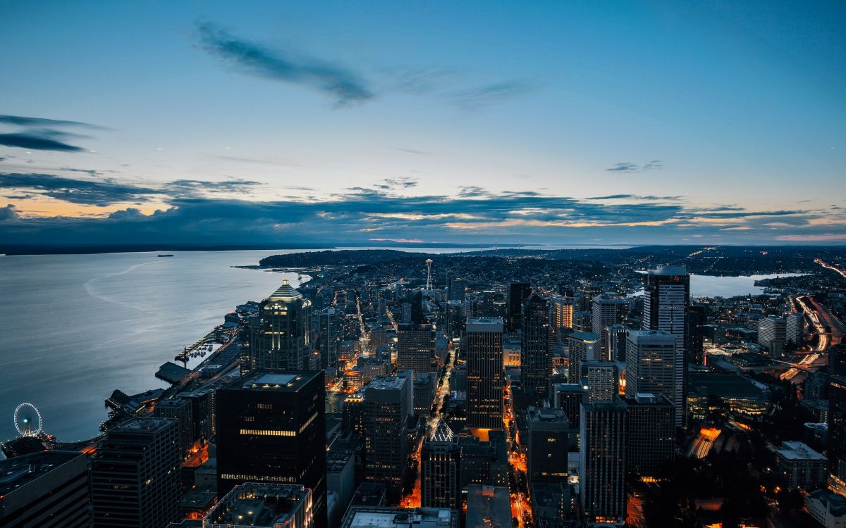 city skyline near body of water during night time