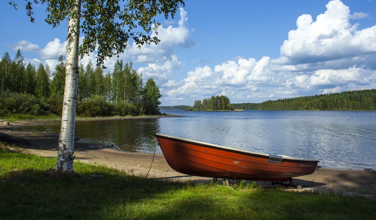 brown boat on lake shore during daytime