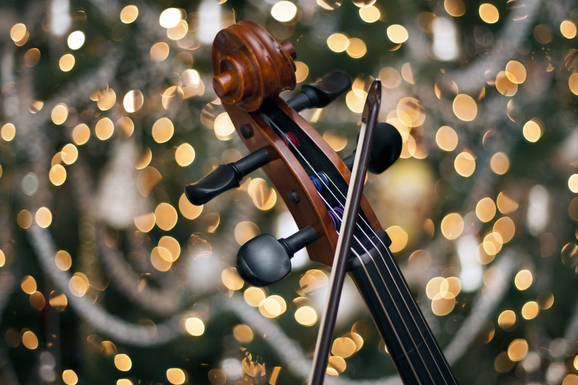 Violonchelo, Bokeh, Instrumento de Cuerda, Instrumento Musical, Familia Del Violín. Wallpaper in 2048x1365 Resolution