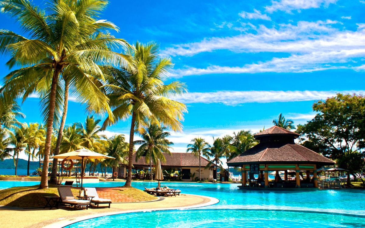 Braunes Holzhaus in Der Nähe Von Palmen Und Gewässern Tagsüber. Wallpaper in 2880x1800 Resolution