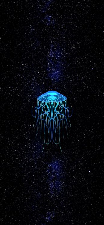 Las Medusas, Tierra, Biología Marina, Invertebrados Marinos, Arte. Wallpaper in 1080x2340 Resolution