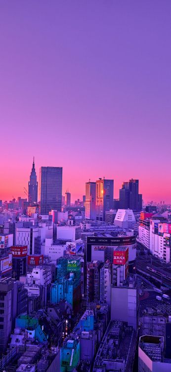 colored, skyscraper, building, atmosphere, purple