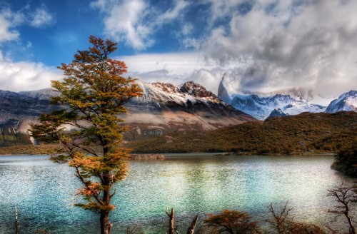 Image brown trees near lake and mountains under white clouds and blue sky during daytime