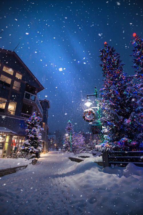 Christmas Day, Christmas Tree, Winter, Snow, Night. Wallpaper in 2400x3600 Resolution