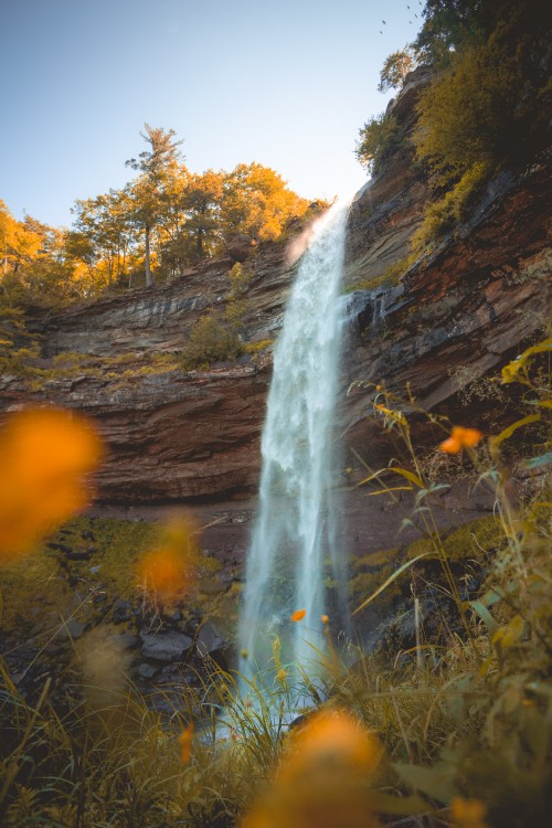 Image river, water, nature reserve, water resources, landscape