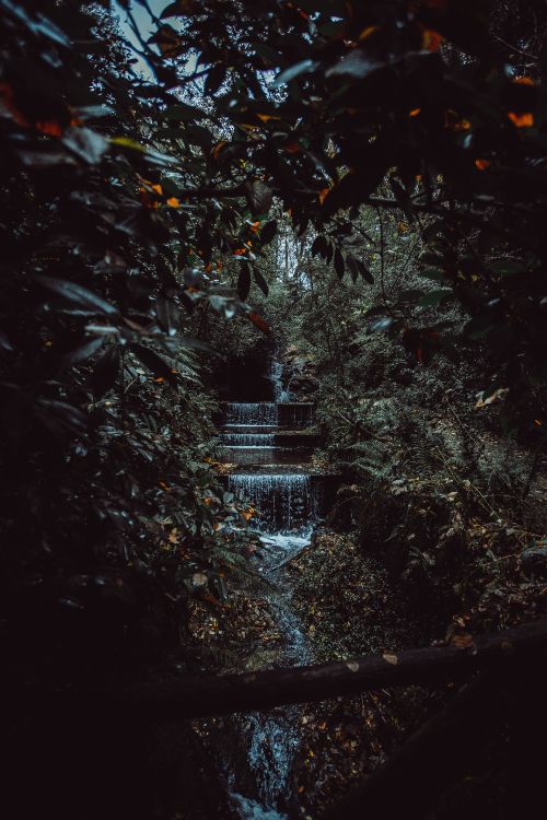 自然环境 黑色的 性质 天空 木本植物高清壁纸 性质图片 桌面背景和图片 自然环境 黑色的 性质 天空 木本植物高清壁纸 性质图片 桌面背景和图片