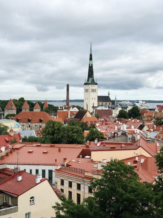 Tallinn, Plateforme D'observation de la Cour, Toompea, Château de Toompea, Fenêtre. Wallpaper in 3024x4032 Resolution