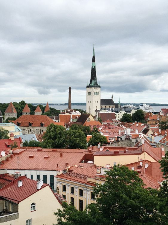 Tallinn, Toompea, Toompea Schloss, Fenster, Nachbarschaft. Wallpaper in 3024x4032 Resolution