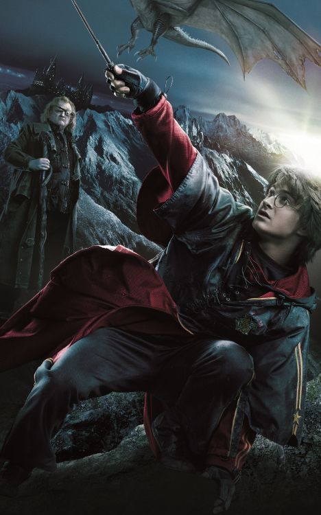 Harry Potter et la Coupe de Feu, Daniel Radcliffe, Lord Voldemort, Remorque, Art. Wallpaper in 2500x4000 Resolution