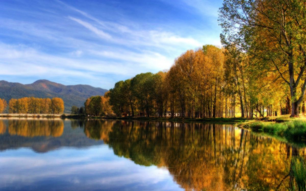 green trees beside lake under blue sky during daytime