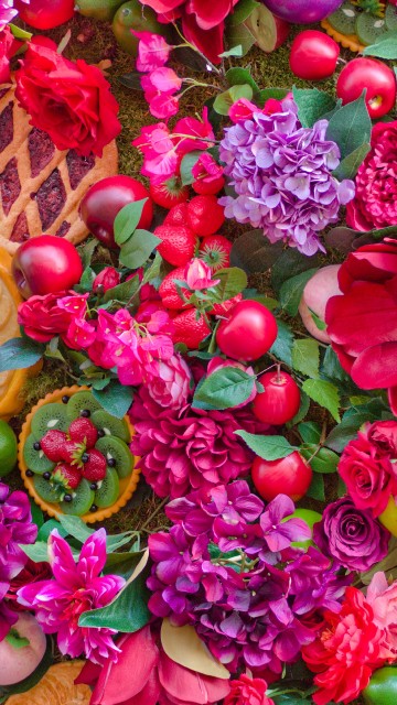Image pink and purple flower petals
