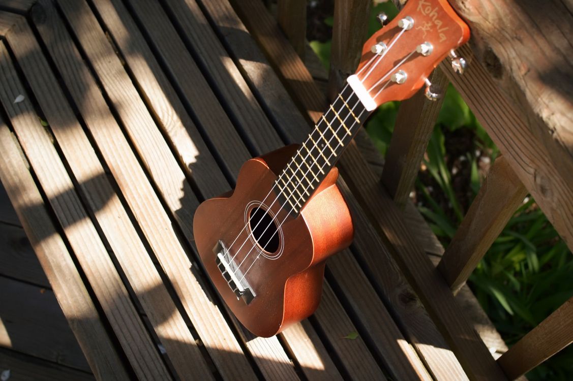 Ukulele, guitar, string instrument, musical instrument, plucked string instruments