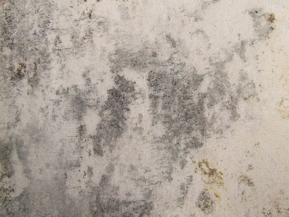 混凝土, 文本, 首歌, 旋律 壁纸 2592x1944 允许