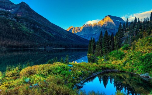 Image green trees near lake and mountain under blue sky during daytime