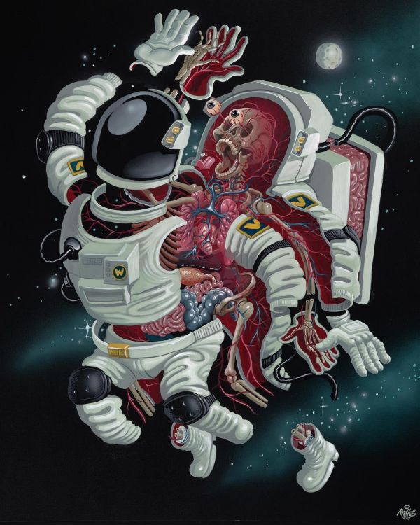 Anatomie de L'astronaute, Dissection, Art, L'art de la Rue, Astronaute. Wallpaper in 1080x1349 Resolution