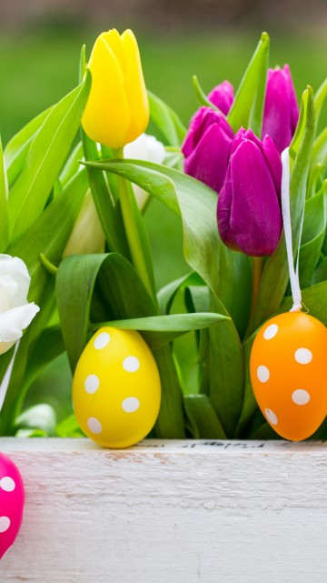 Image easter bunny, easter egg, tulip, holiday, flower